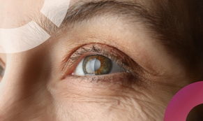 <?= $cur_Designacao; ?>