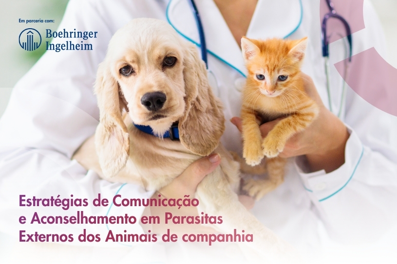 <?= $cur_Designacao; ?>