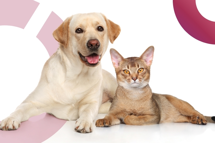 <?= $cur_Designacao; ?>